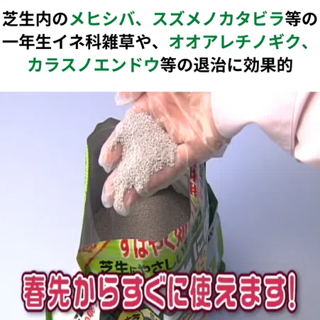 芝生に使える！シバニードアップ粒剤|すばやく効いて発芽も抑える
