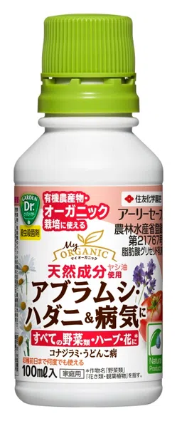アーリーセーフ