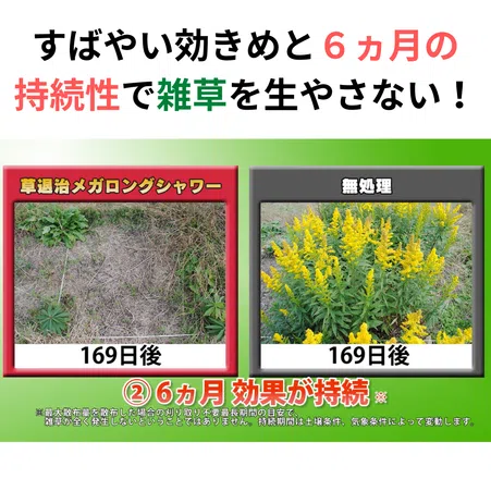 草退治メガロングシャワー｜すばやい効きめと6ヵ月の持続性で