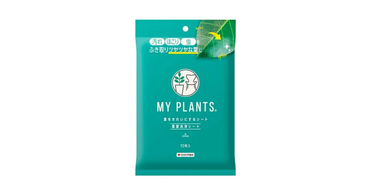 葉水 さま インテリアグリーンのケアブランド「MY PLANTS」に葉面洗浄