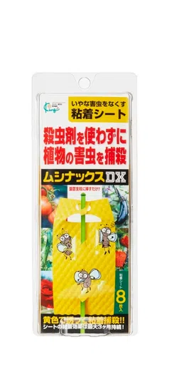 黄金虫 Buy atmos x ZX 8000 'G-SNK 10 - Ura' - JQ2580 | GOAT