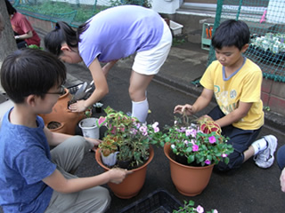 鉢植え班は、色の組み合わせや株が育つ大きさを考えながら苗の配置を考え中