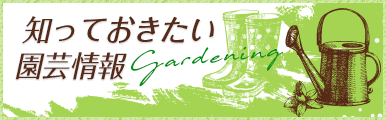 知っておきたい園芸情報gardening