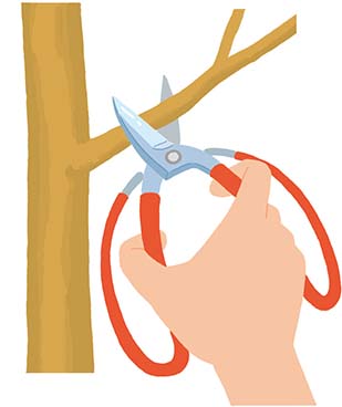 太めの枝は深く挟んで、刃の根元近くで切る。ただし、無理をすると柄で手のひらを挟むことがあるので注意