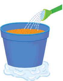 水はけのよい土は、たっぷり水を与えるとすぐに鉢底から流れ出てくる