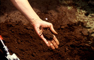 固まったら保水性のよい土。固まらなければ保水性が悪い
