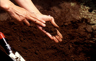 固まった土を軽く指で押す。崩れれば団粒構造のよい土