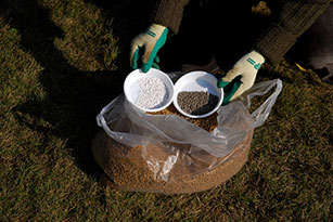 次に、元肥としてリン酸分の多い緩効性化成肥料と苦土石灰を入れる