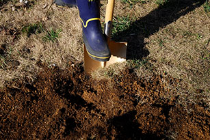 ショベルで深さ30㎝ほど土を掘り起こす