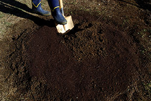 石灰を散布してから１～２週間後に、堆肥を１㎡当たり２～３㎏まき、土によくまぜる