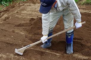 クワを使って耕すときは、クワを小さく上下させて掘り起こしながら前に進む