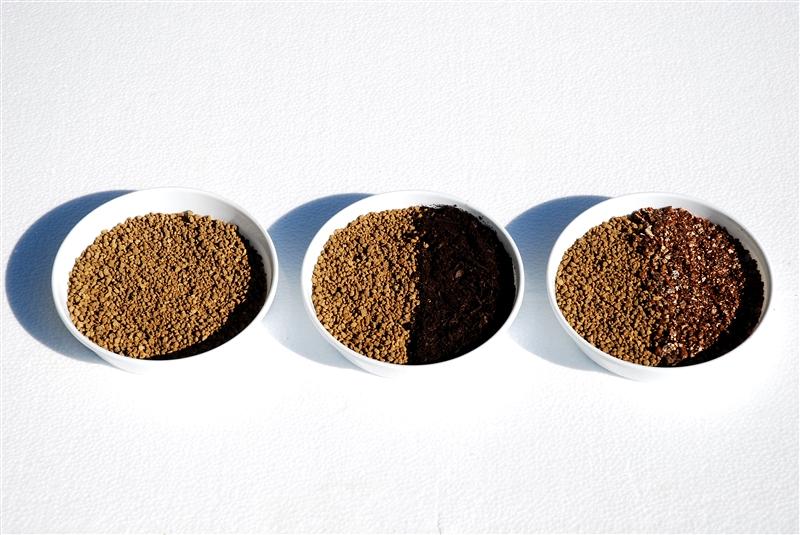 ① 赤玉土小粒の単用（左）、赤玉土小粒と腐葉土の等量混合（中）、赤玉土小粒とバーミキュライトの等量混合（右）