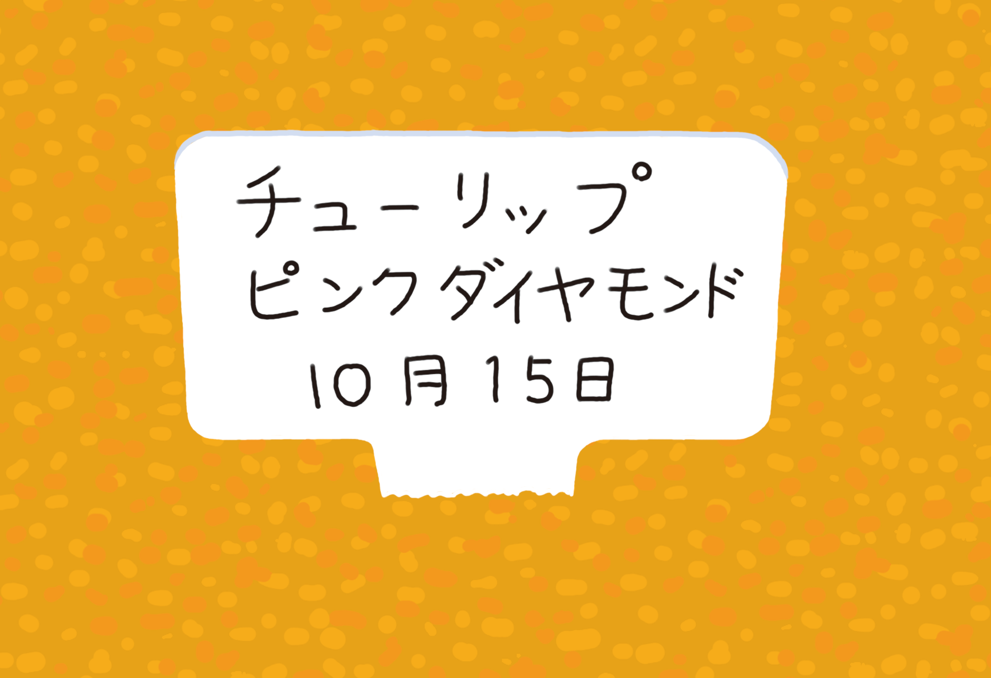 ⑤ 名札を立てる