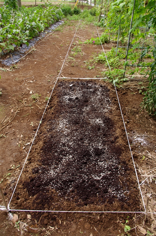 ③ 石灰をまいた１週間後に、全体に堆肥と化成肥料をまく。