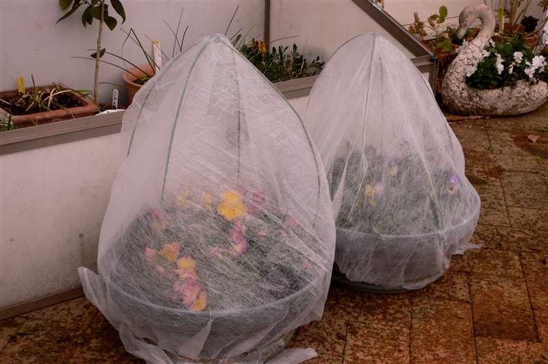 保護カバー 植物 防寒カバー 植物カバー 不織布 防寒 保温 防雪 防風 防霜 虫害 凍結防止 通気性 鉢植え  調節引き紐付き 再利用可能 植物保護袋 プランターカバー 植物保温ネット 防鳥ネット 室内 室外 ガーデン 観葉植物 園芸用品 価格比較