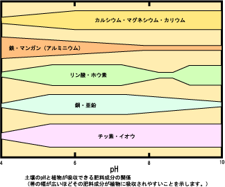 illu1.gif