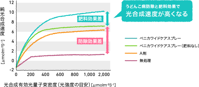 うどんこ病防除と肥料効果で光合成速度が高くなる