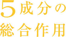 5成分の総合作用