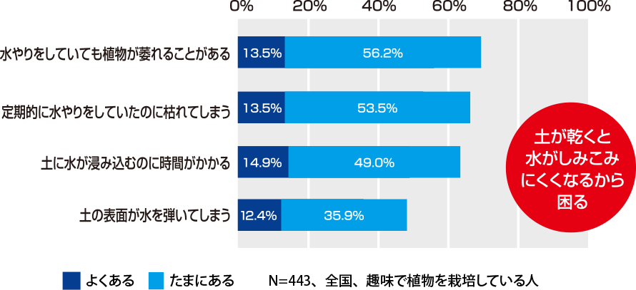 植物への水やりで起こること