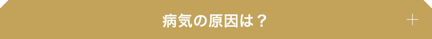 病気の原因は？