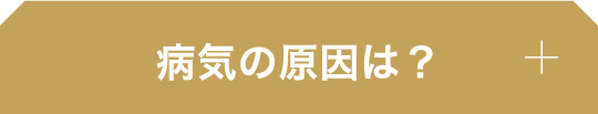 病気の原因は？