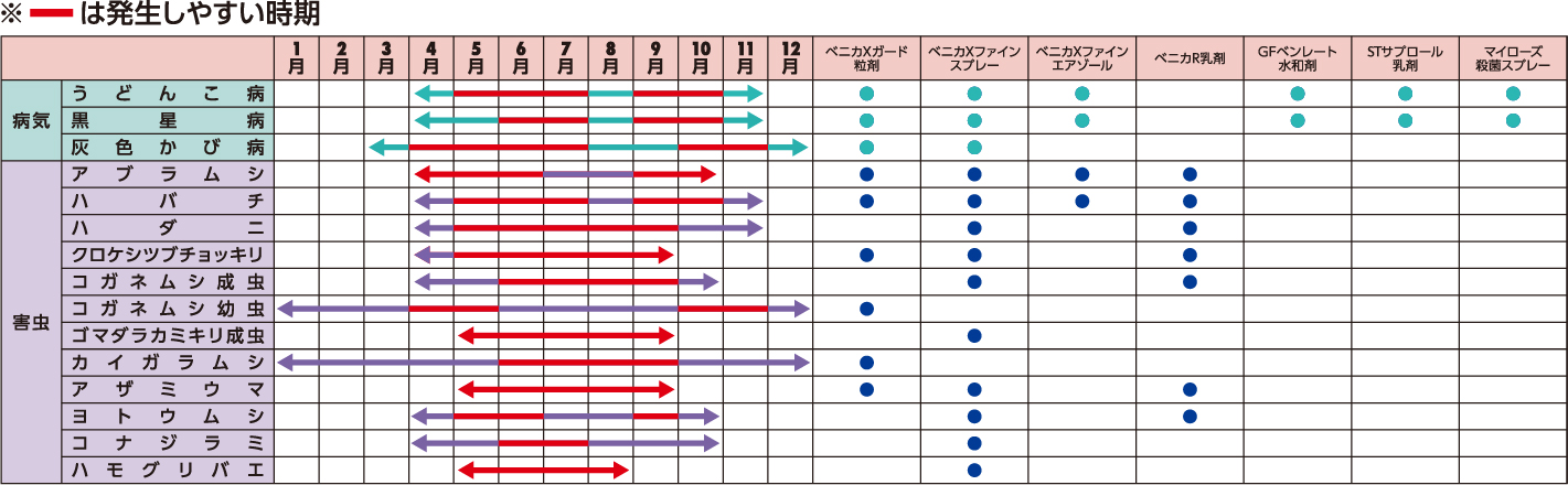 ばらの病害虫の発生時期と対応事例