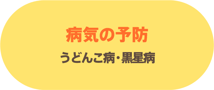 病気の予防 うどんこ病・黒星病