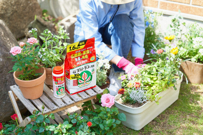 花や野菜　害虫対策　家庭園芸用GFオルトラン粒剤