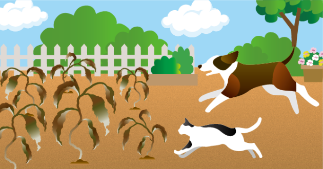 〈植物だけに効く〉