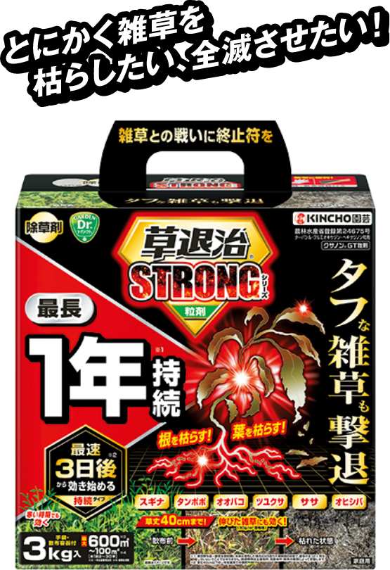 クサノンGT粒剤