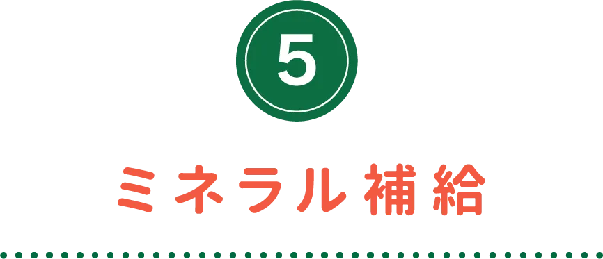 ミネラル補給