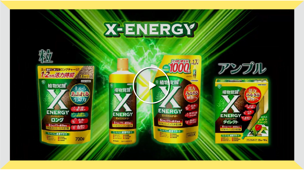 「X-ENERGY」粒タイプ・アンプルタイプ登場編動画