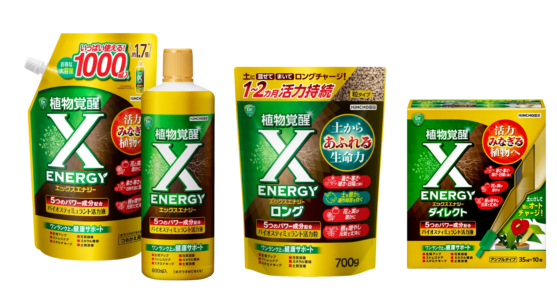 X-ENERGY