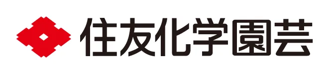 X-energy