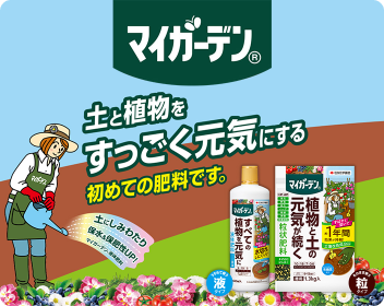 マイガーデン