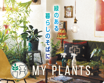 MY PLANTS